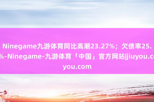 Ninegame九游体育同比高潮23.27%；欠债率25.35%-Ninegame-九游体育「中国」官方网站|jiuyou.com