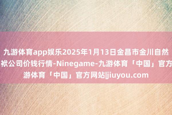 九游体育app娱乐2025年1月13日金昌市金川自然农家具发展有限包袱公司价钱行情-Ninegame-九游体育「中国」官方网站|jiuyou.com